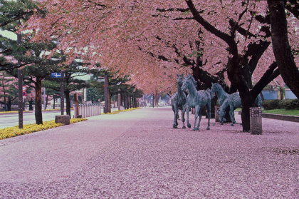十和田市の景色・風景フォト素材カテゴリー