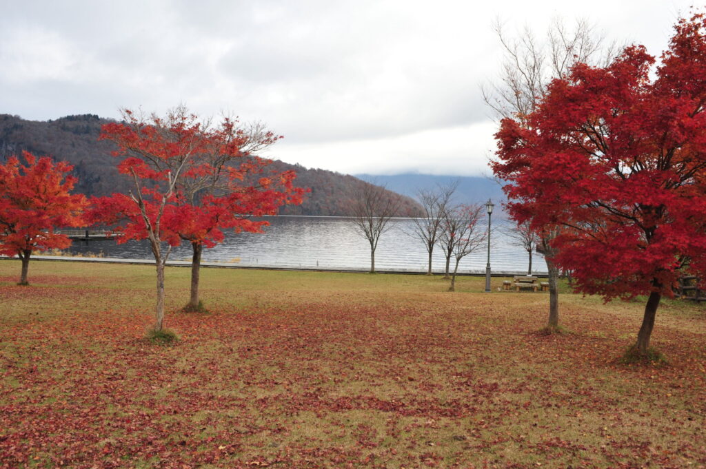 宇樽部公園0004