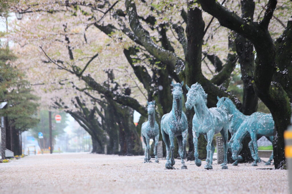 官庁街通り0001