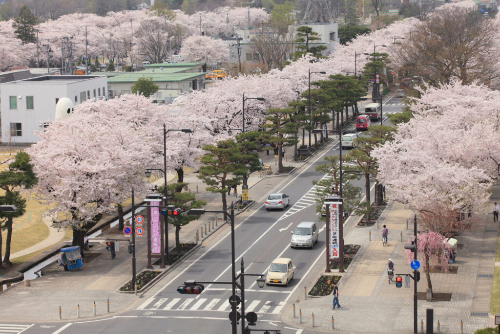 官庁街通り0002