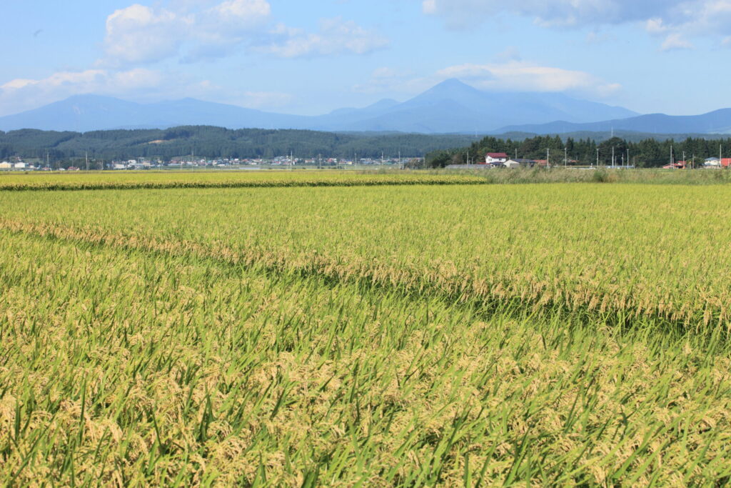 田園風景0004