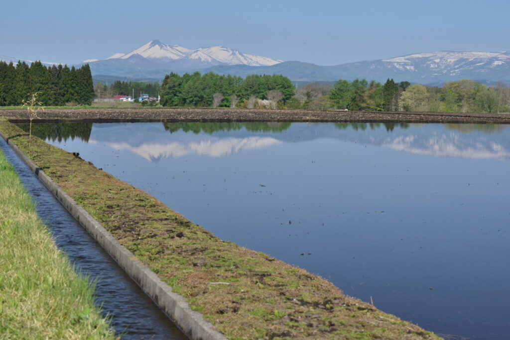 田園風景0005