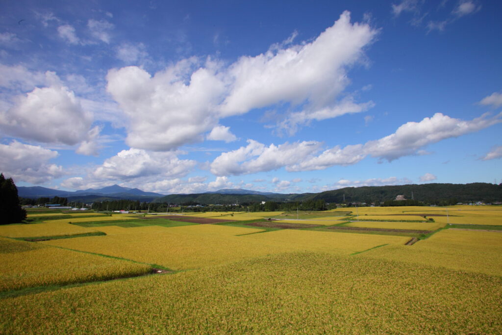 田園風景0006