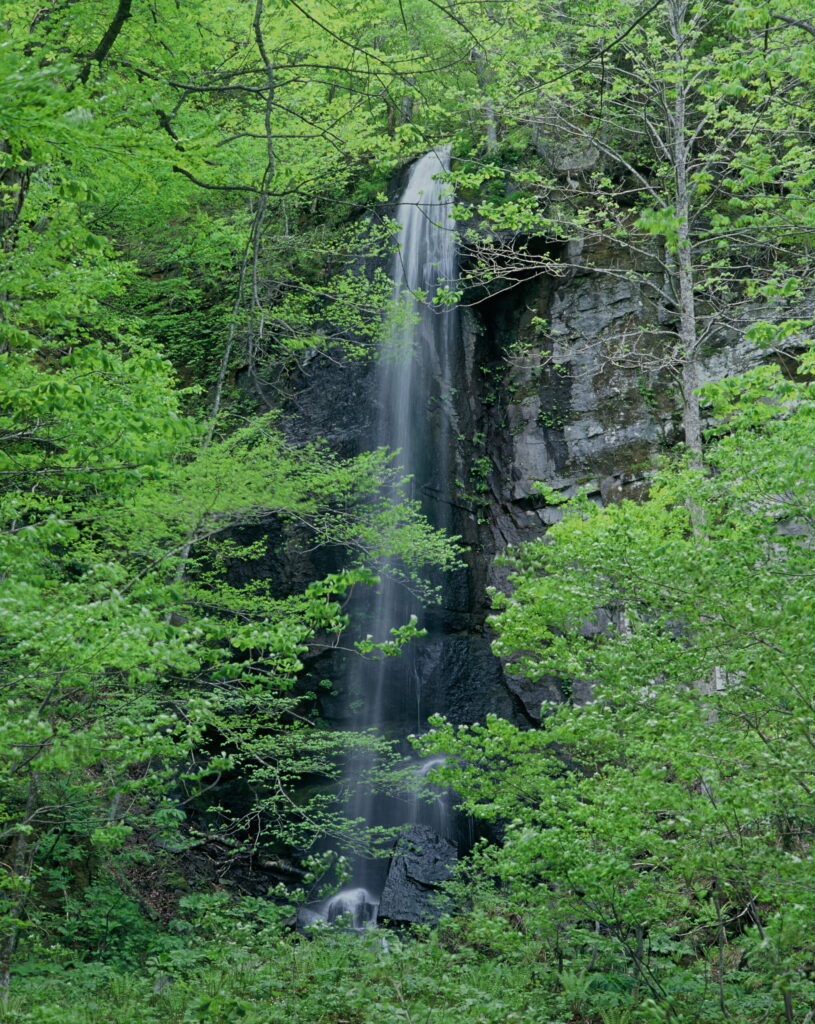 白糸の滝0001