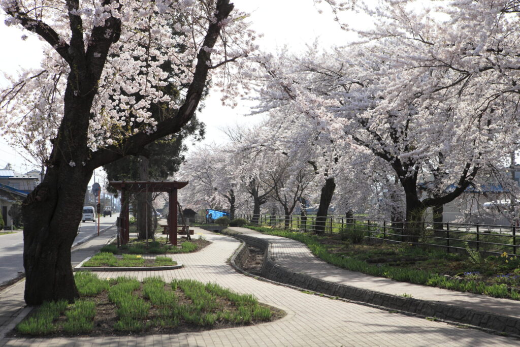 稲生川0001