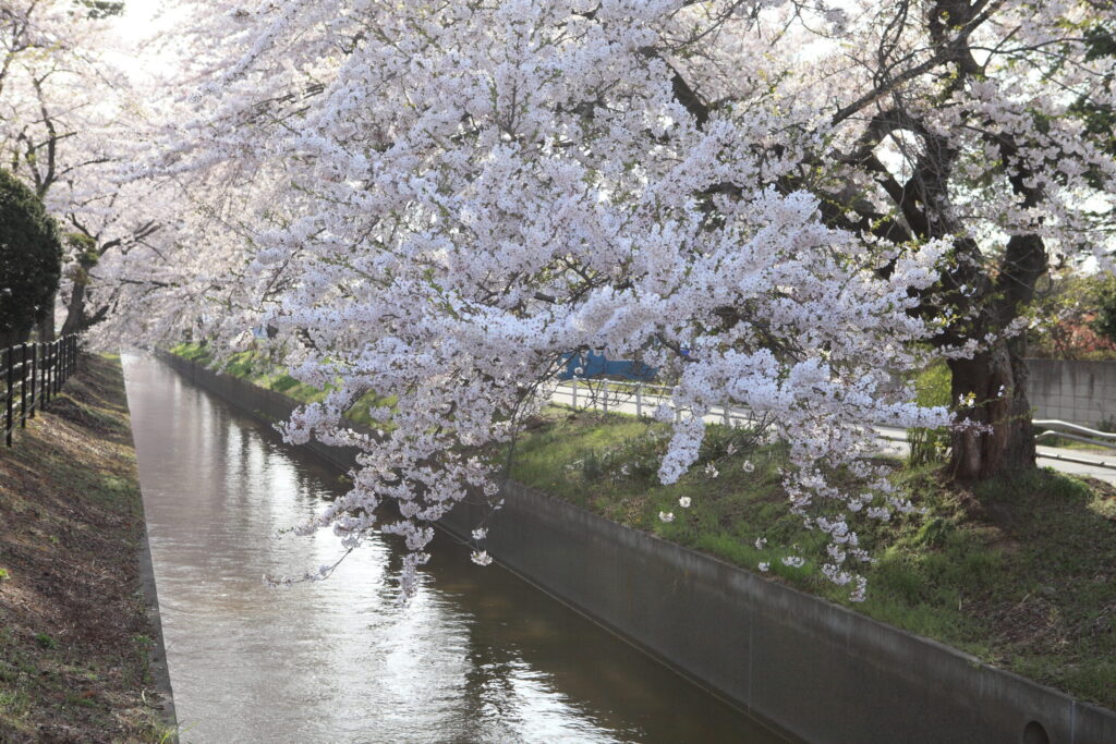 稲生川0003