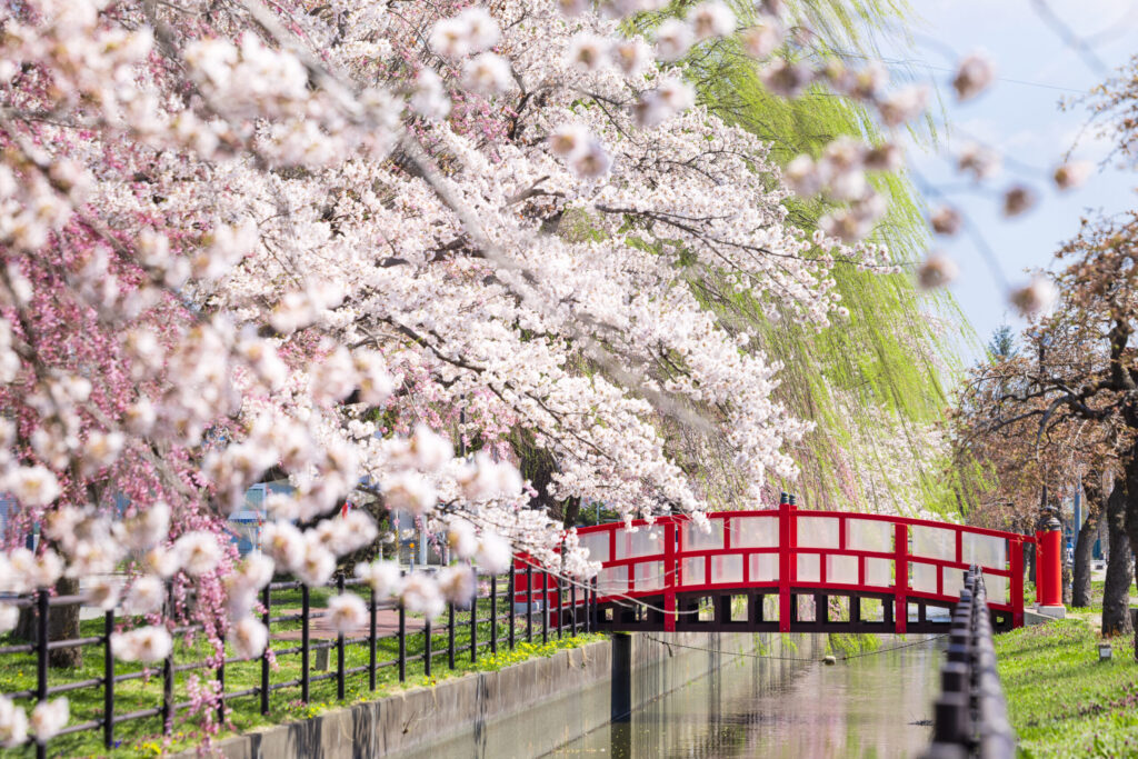 稲生川0005