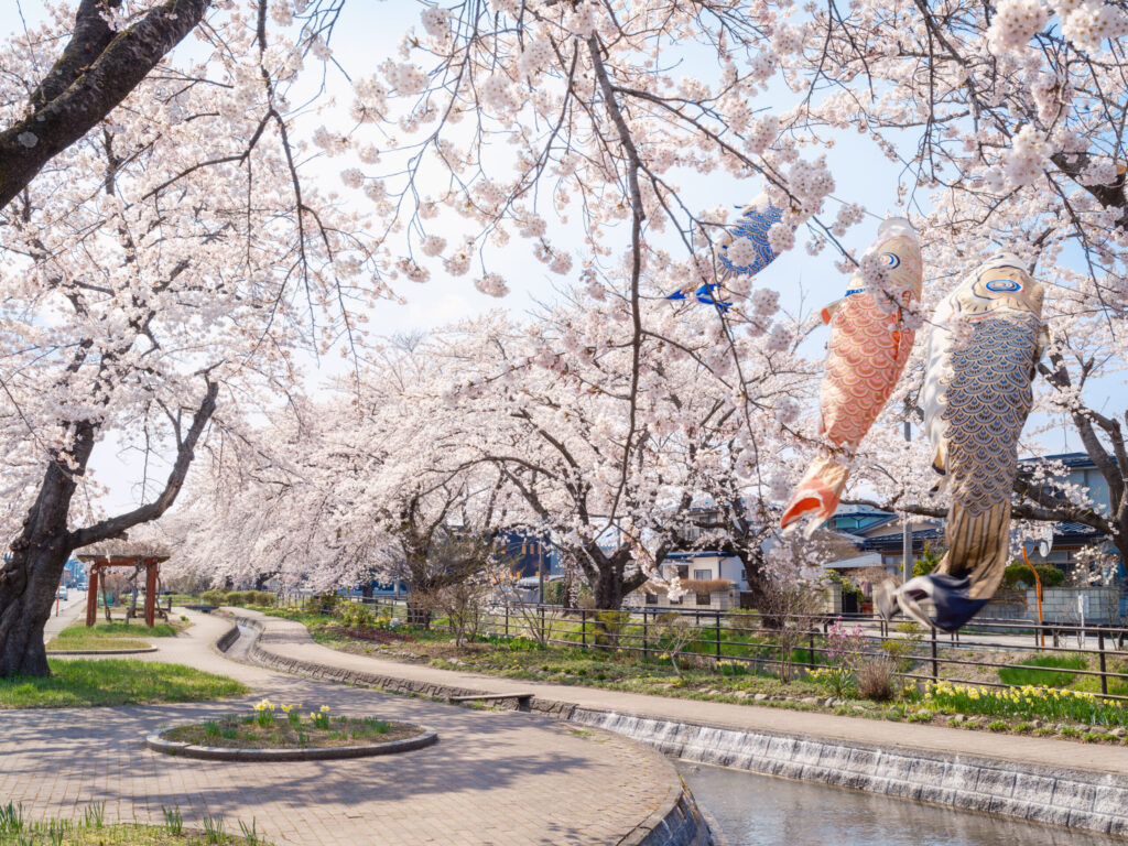 稲生川ふれあい公園0001
