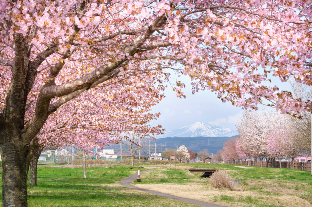 稲生川ふれあい公園0002