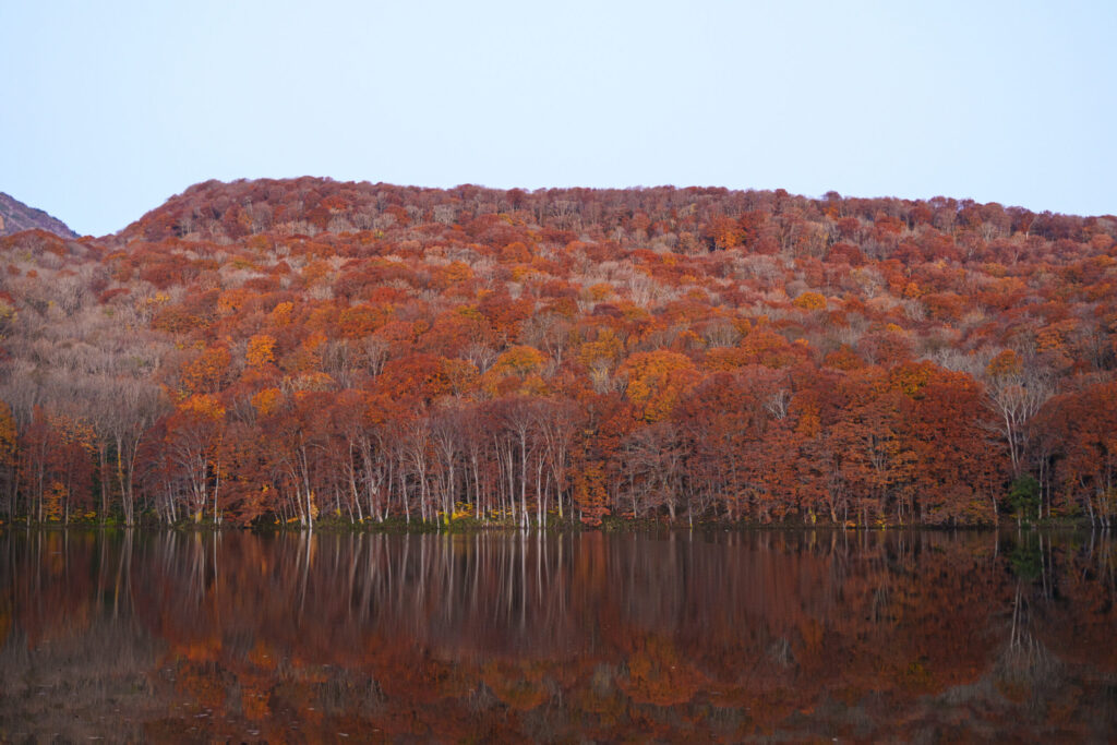 蔦沼0005
