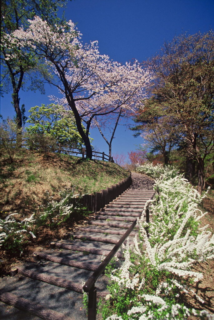 高森山展望台0002